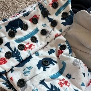 Cloth Diaper Bundle | Thirsties All in One Cloth Diapers -6 total